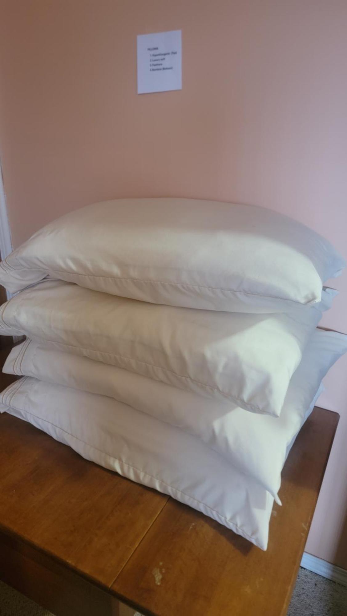 Charming - 2 Bedrooms Suite, 1 Full Bath & Family Room Kamloops Eksteriør billede
